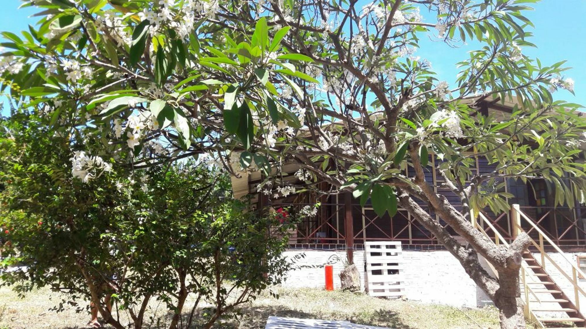 Boldró